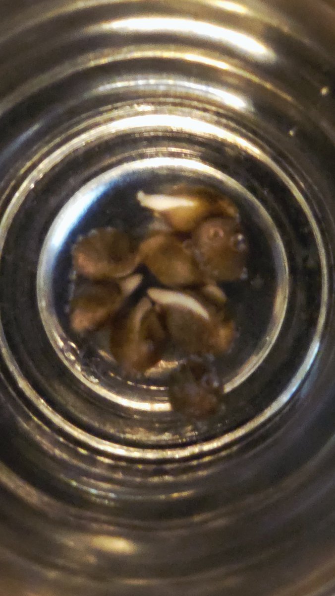 Elveedro🎖🔊🌴 tweet media