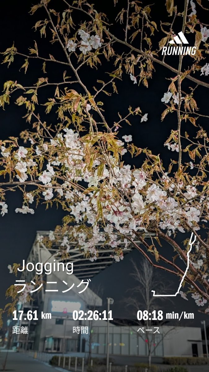 だんちゃん tweet media