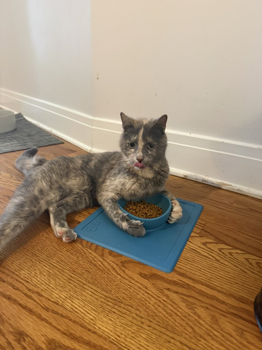 Wobbly Ruth, et al. tweet media