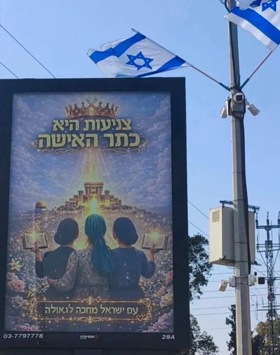 ShAuLi ✊🏼🔥🏳️🌈 tweet media