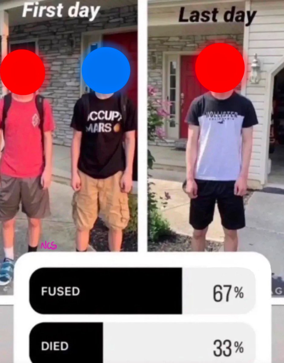 NCS_artist tweet media