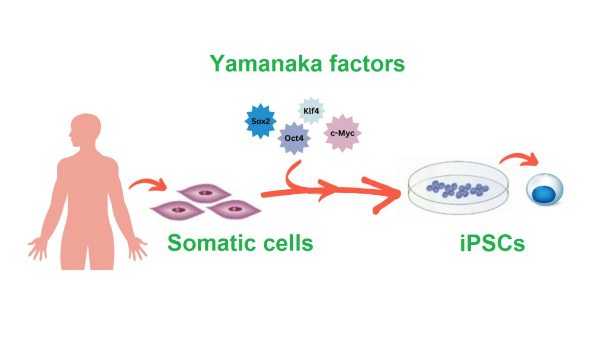 Muhammad Yusuf tweet media