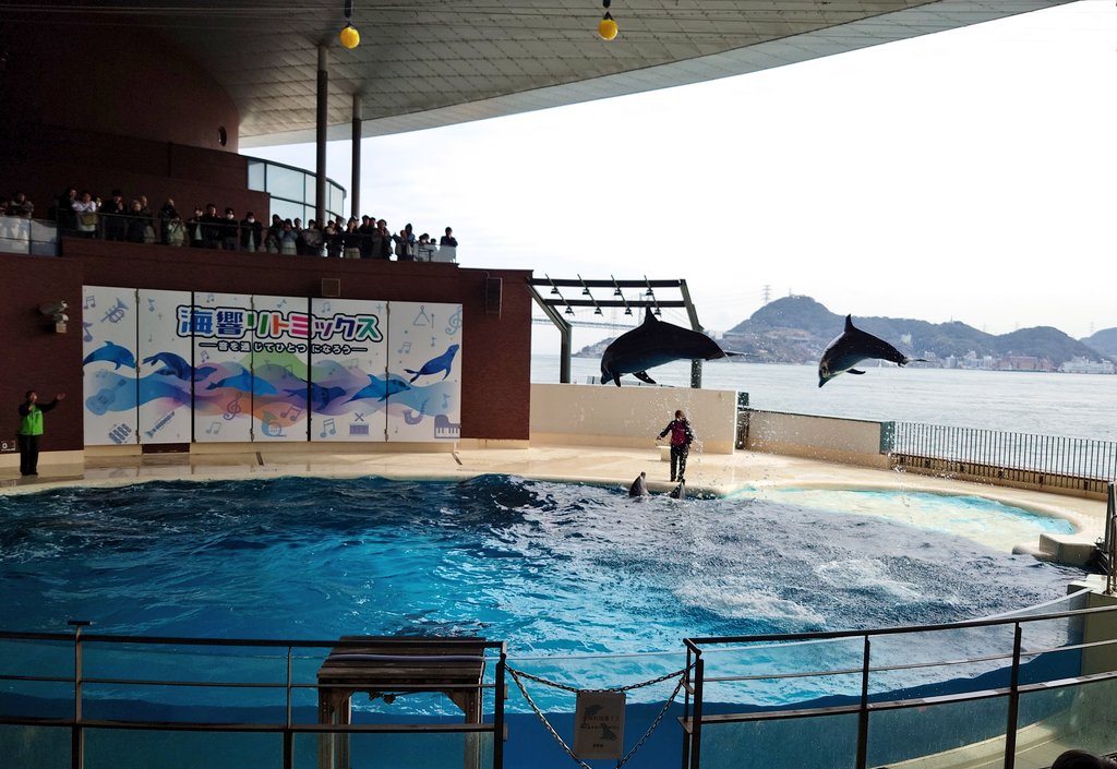 みぃにゃ tweet media