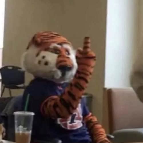 D-white ✈️ tweet media