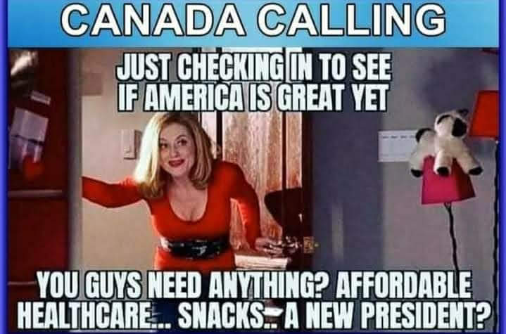 Cat Lady for All tweet media