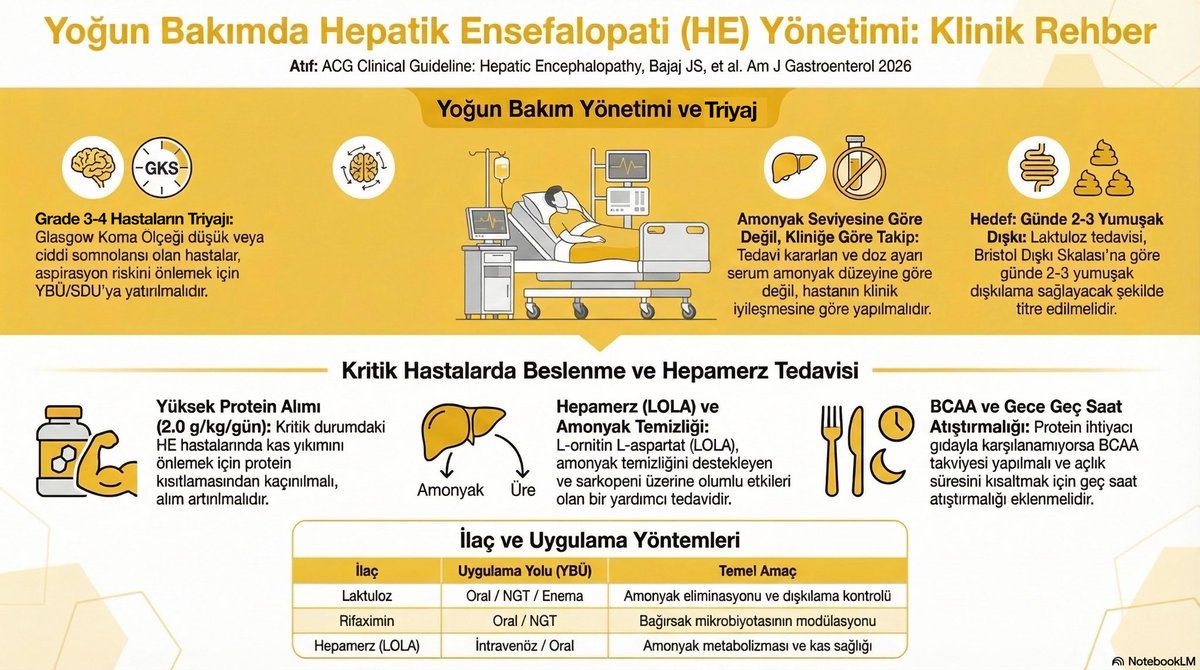 dkmylm's tweet photo. Yeni hepatik ensefalopati kılavuzu https://t.co/9KYmwm4i4p