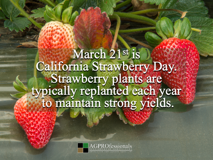 AGPROfessionals tweet media