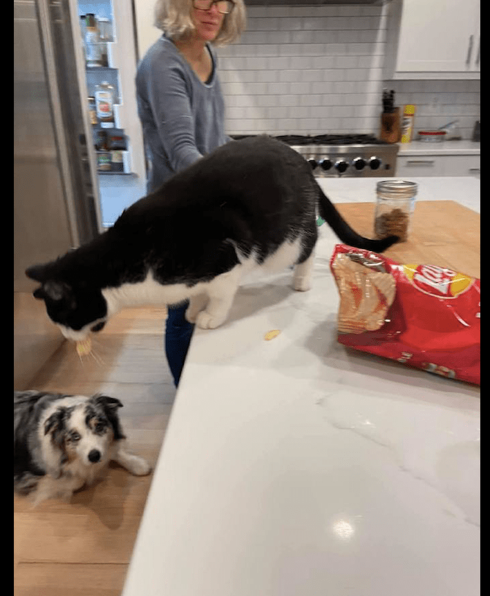 Pr Márcio Frutuoso tweet media