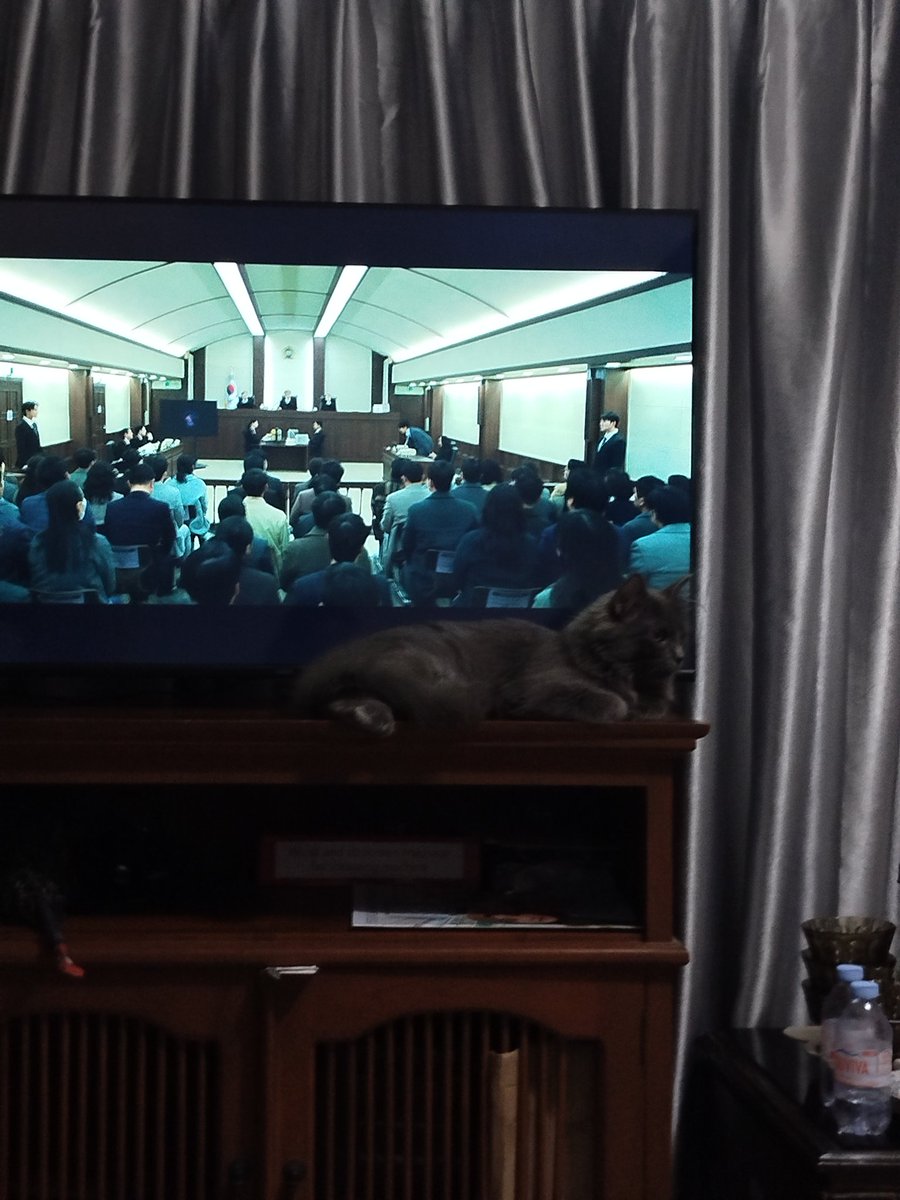 ︎ ︎ ︎ tweet media