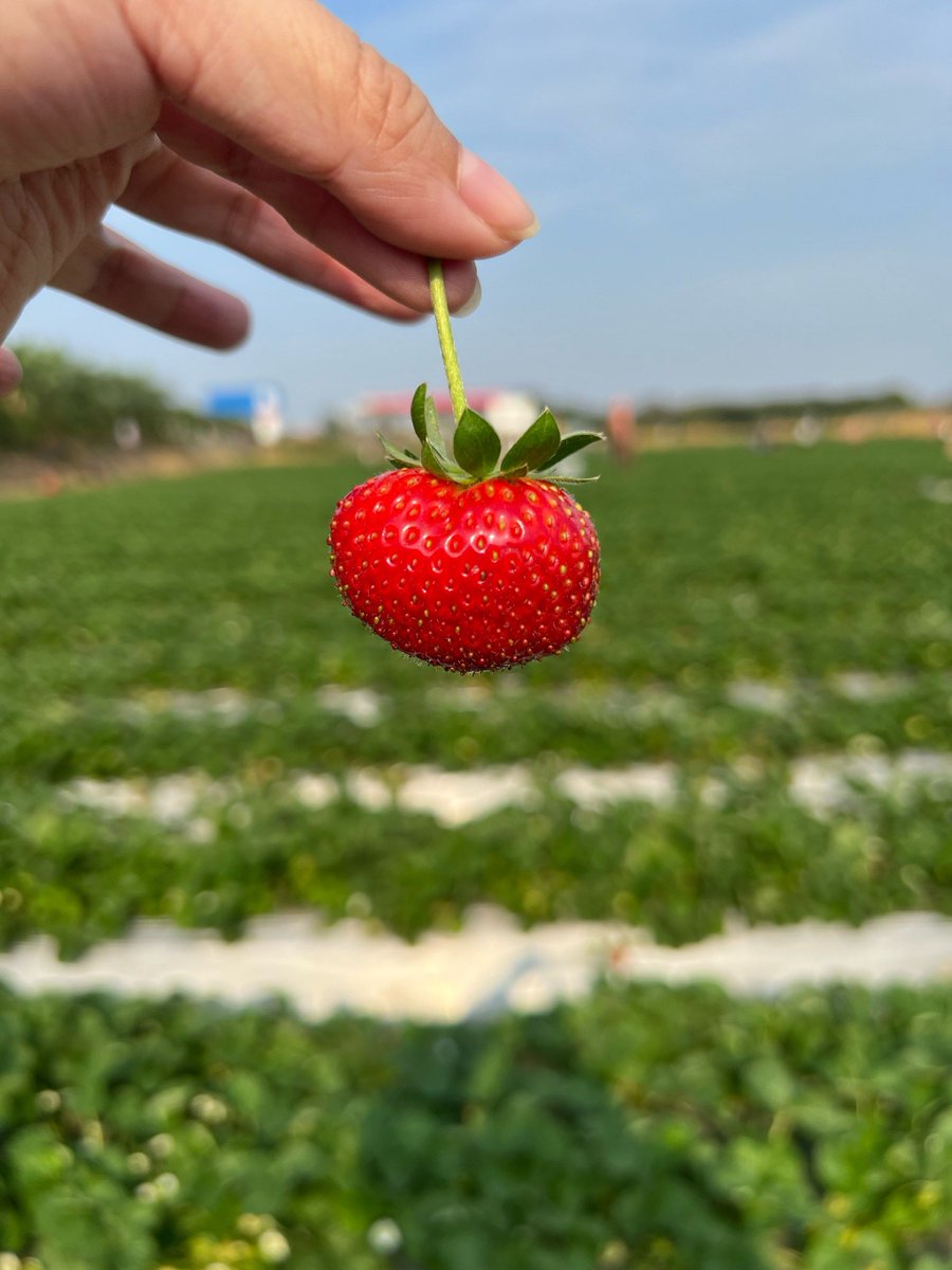 Courtney Paz tweet media