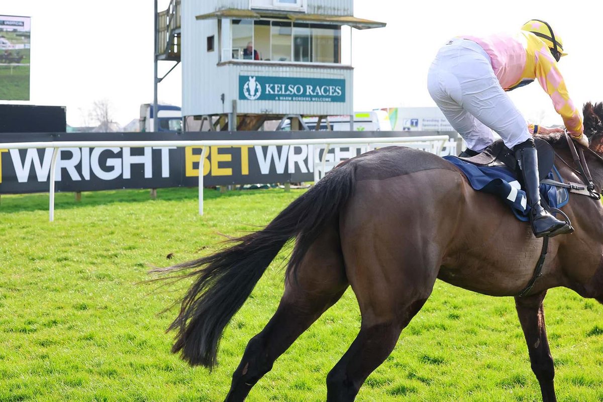 BetWright tweet media