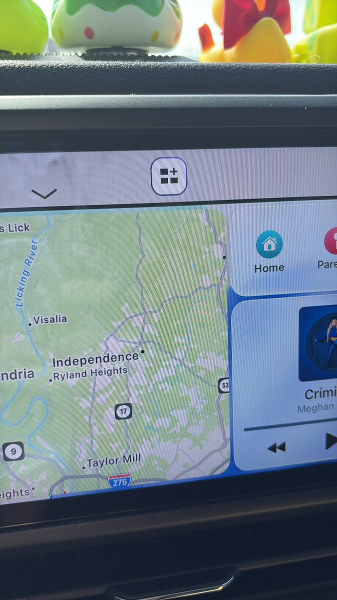 Elaina Nielson tweet media