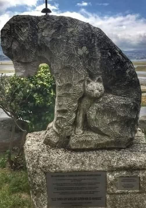 TERK EDİLMİŞ HAYVANLARA ADANMIŞ ANIT, GALİÇYA, İSPANYA 🐈‍⬛🐕 🇪🇸
Galiçya'da güçlü mesajıyla dikkat  çeken dokunaklı bir heykel. Heykel, birbirlerine sığınan bir köpek ve bir sokak kedisini tasvir ediyor ve terk edilmiş hayvanları korumanın önemini anlatıyor😭😭