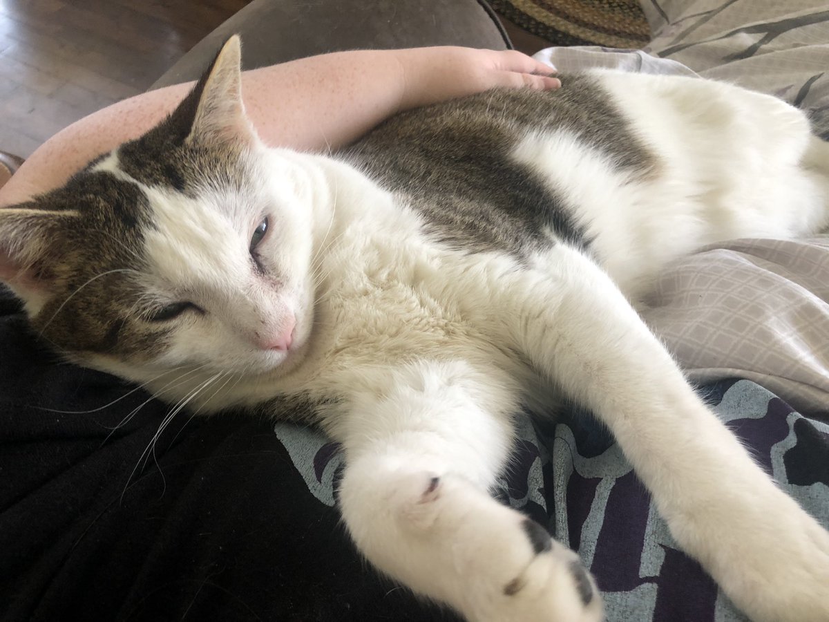 GingerSnaps//comms open! tweet media