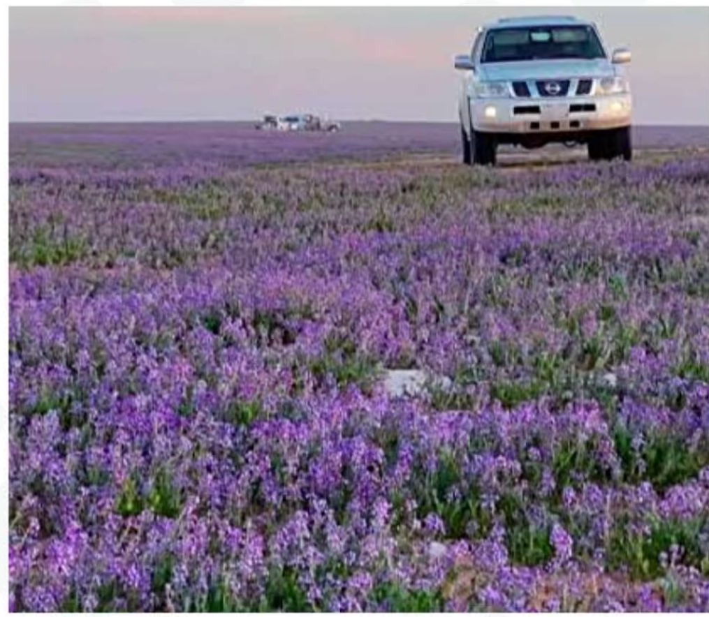 ‏﮼متعب ﮼الشمري ﮼ tweet media