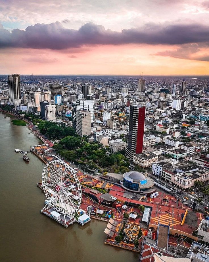 Gustavo A. Rivadeneira tweet media