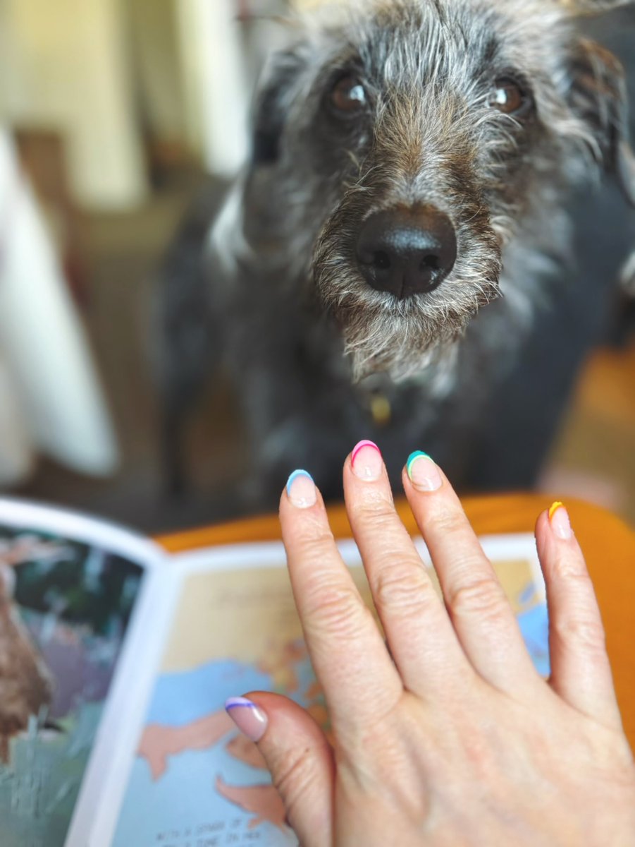 DearUniverse_cs's tweet image. Took some advice from Hedgehog today and let my fabulous self lead the way. Exciting times deserve exciting nails. ‘Exhibition Nails’, I’m calling them 💚 
(Poppy gave me her stamp of approval, she also thought they were fabulous)
#NailArt #Hedgehog #Fabulous #WhenBeastsSpoke