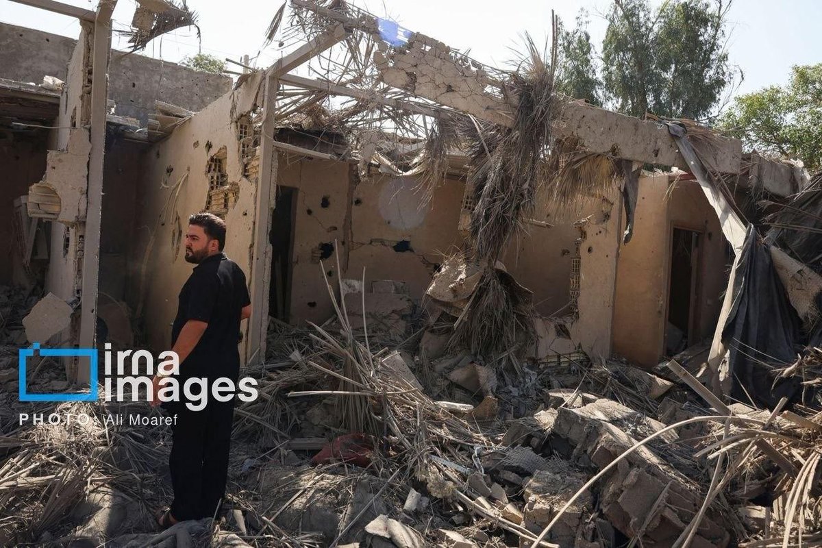 Daniella Modos - Cutter -SEN tweet media