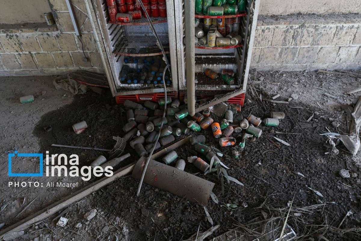 Daniella Modos - Cutter -SEN tweet media