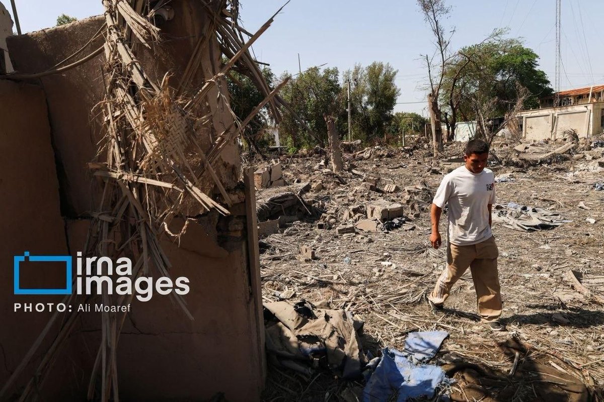 Daniella Modos - Cutter -SEN tweet media