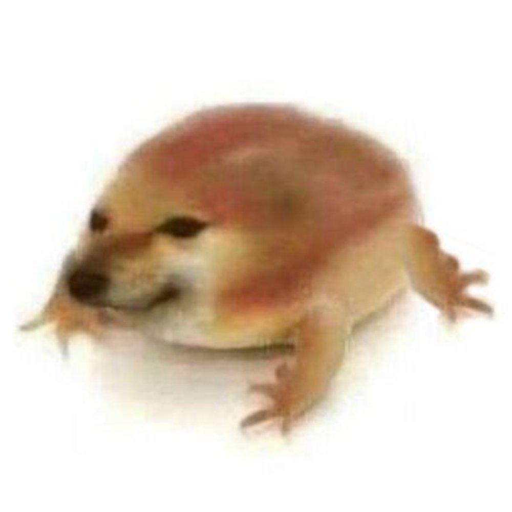 "我的刀盾" launched by OG 我的刀盾 (what the dog doing?) DEV- but on Balanced Mode on BONK.

$我的刀盾 on BONK