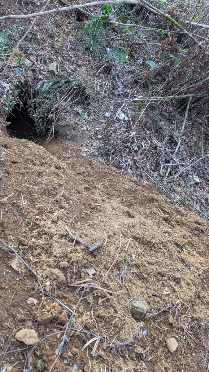 (польська) Баба Срака 🏴 tweet media