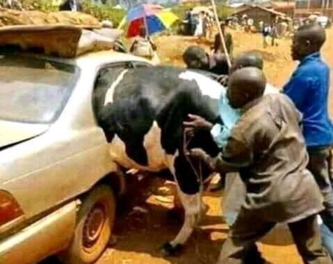 Nansana's finest🇺🇬 tweet media