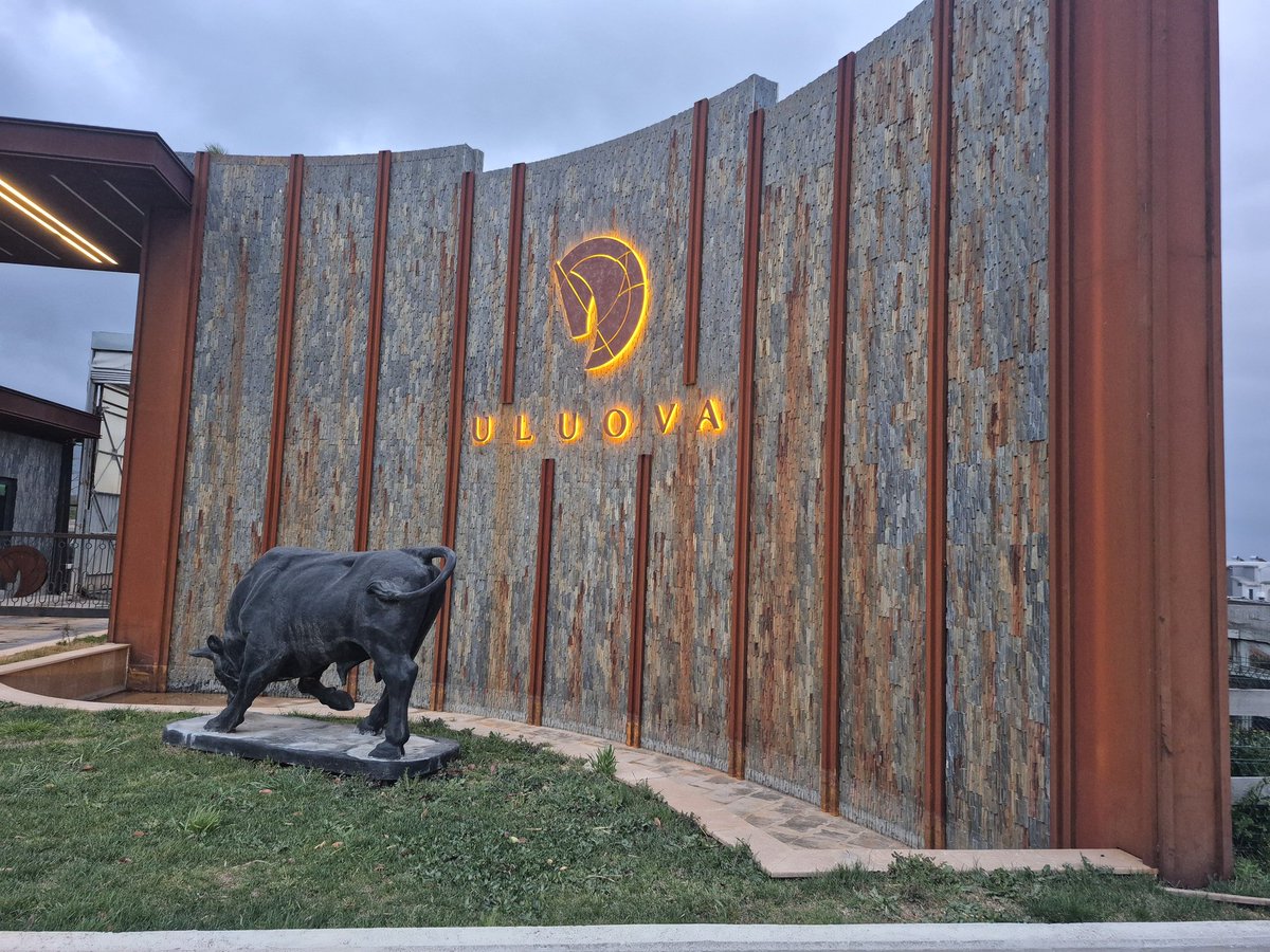 F ⛈️ tweet media