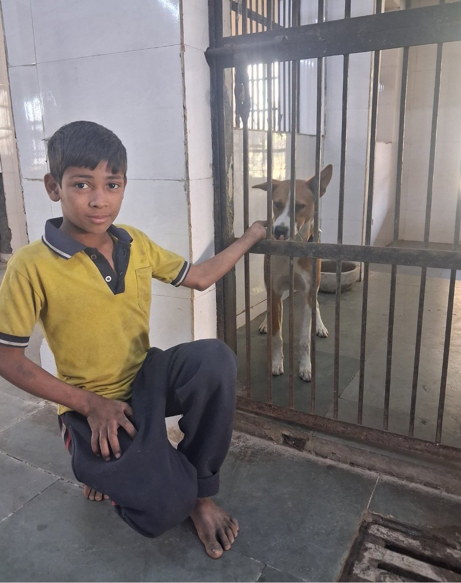 Pallavi U Dar tweet media