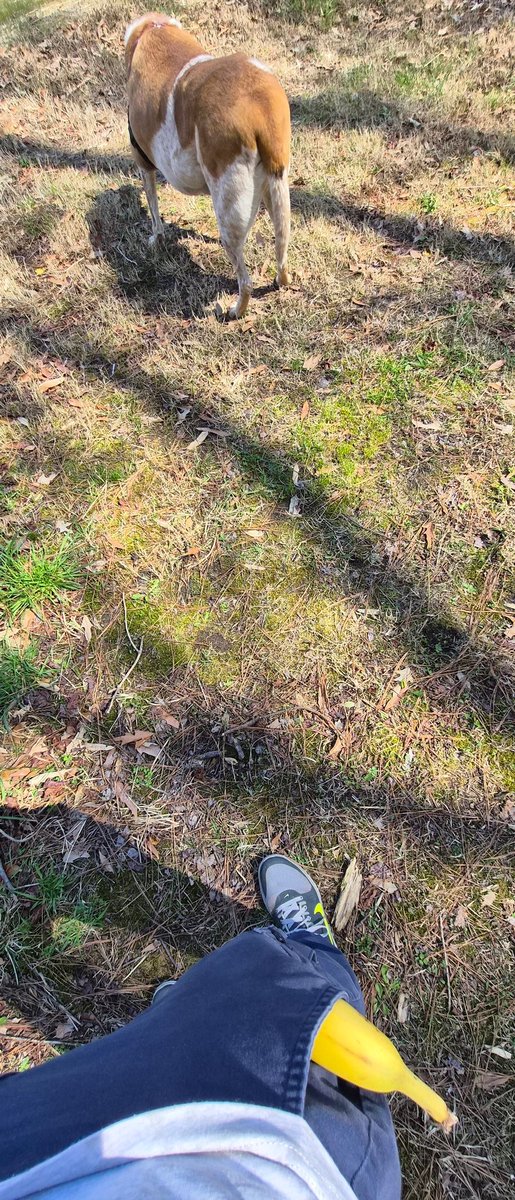 brofessor emeritus tweet media