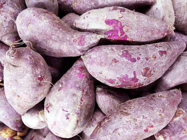 Justa Normalguy tweet media