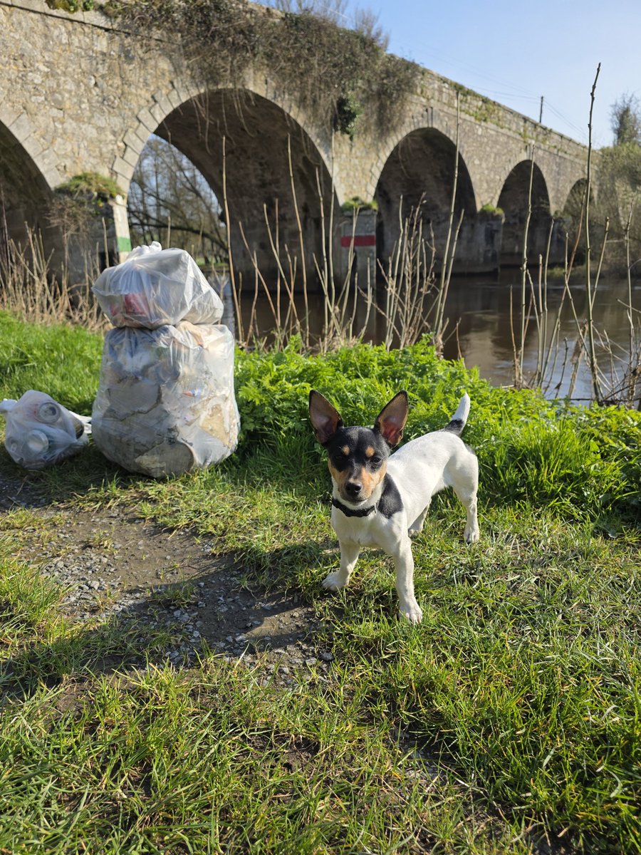 respecting nature tweet media