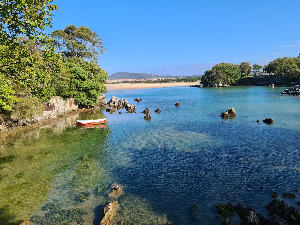 Inevertire tweet media