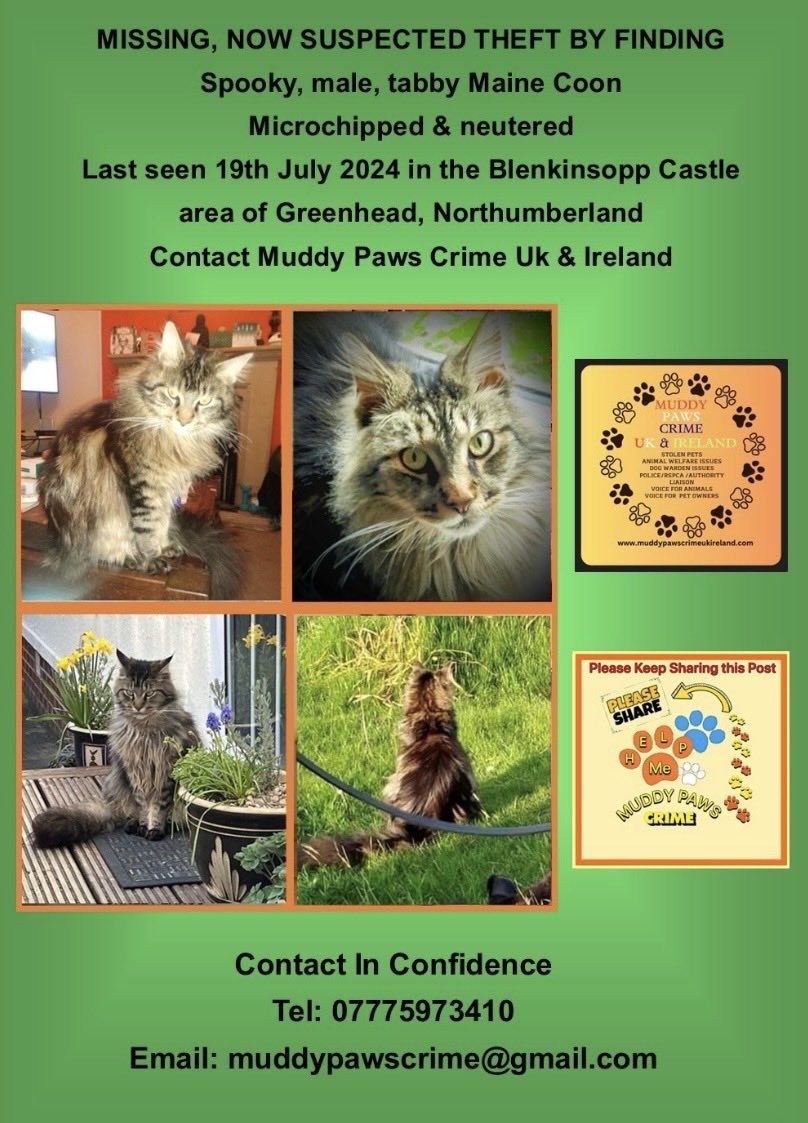 Karen Hall tweet media