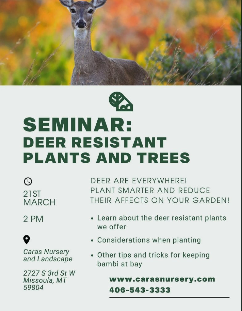 Montane Messenger Missoula Montana Western Divide tweet media