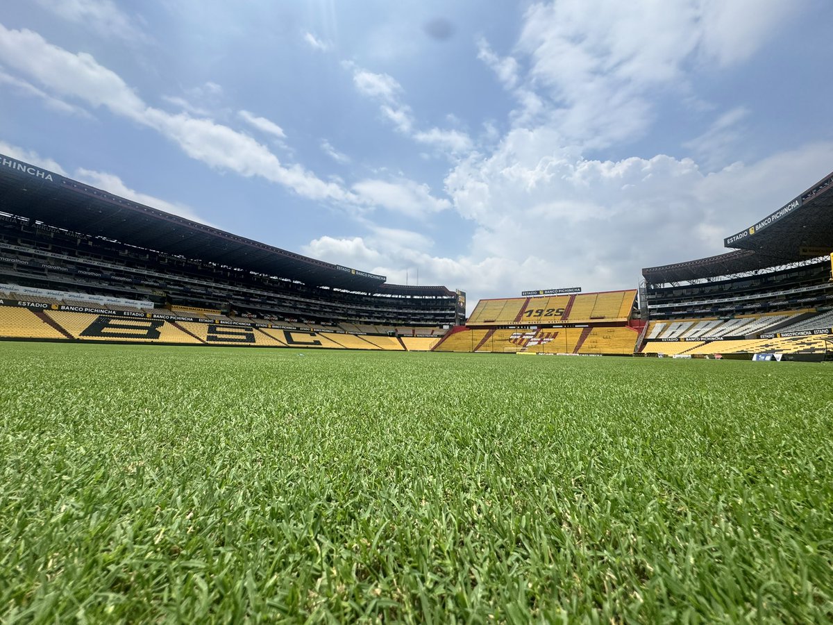 Luigi Macchiavello B tweet media