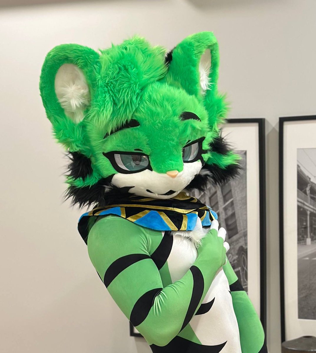 VTig (egregore)🐳 tweet media