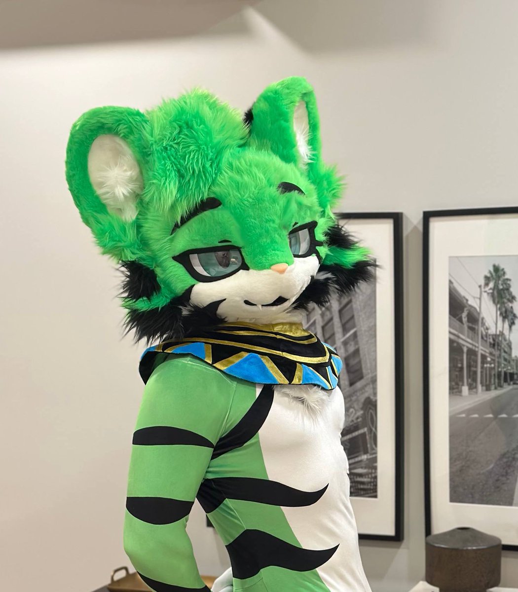 VTig (egregore)🐳 tweet media