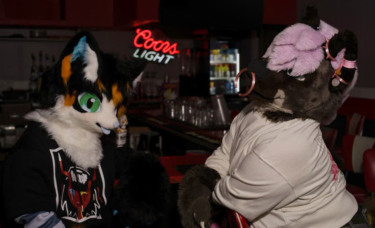 🩵 Harper 🧡 tweet media