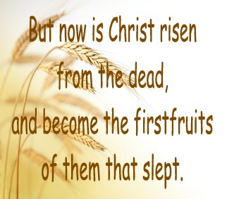 JulieParker144's tweet image. "First Fruit" (or bikkurim in Hebrew) is a biblical term referring to the very first, best portion of a harvest that is dedicated to God. #Firstfruit