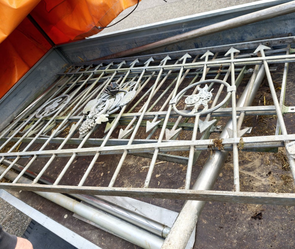 Neo - Flynn tweet media