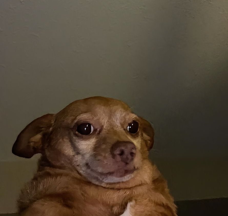 ๐๐โ๐๐โ๐ฅ๐ tweet media