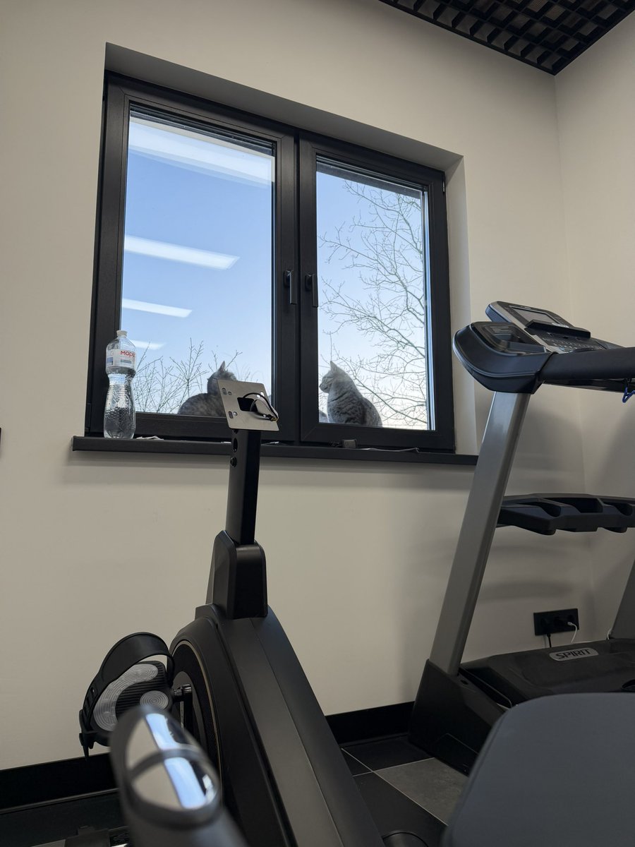 Міністерство полосок України tweet media