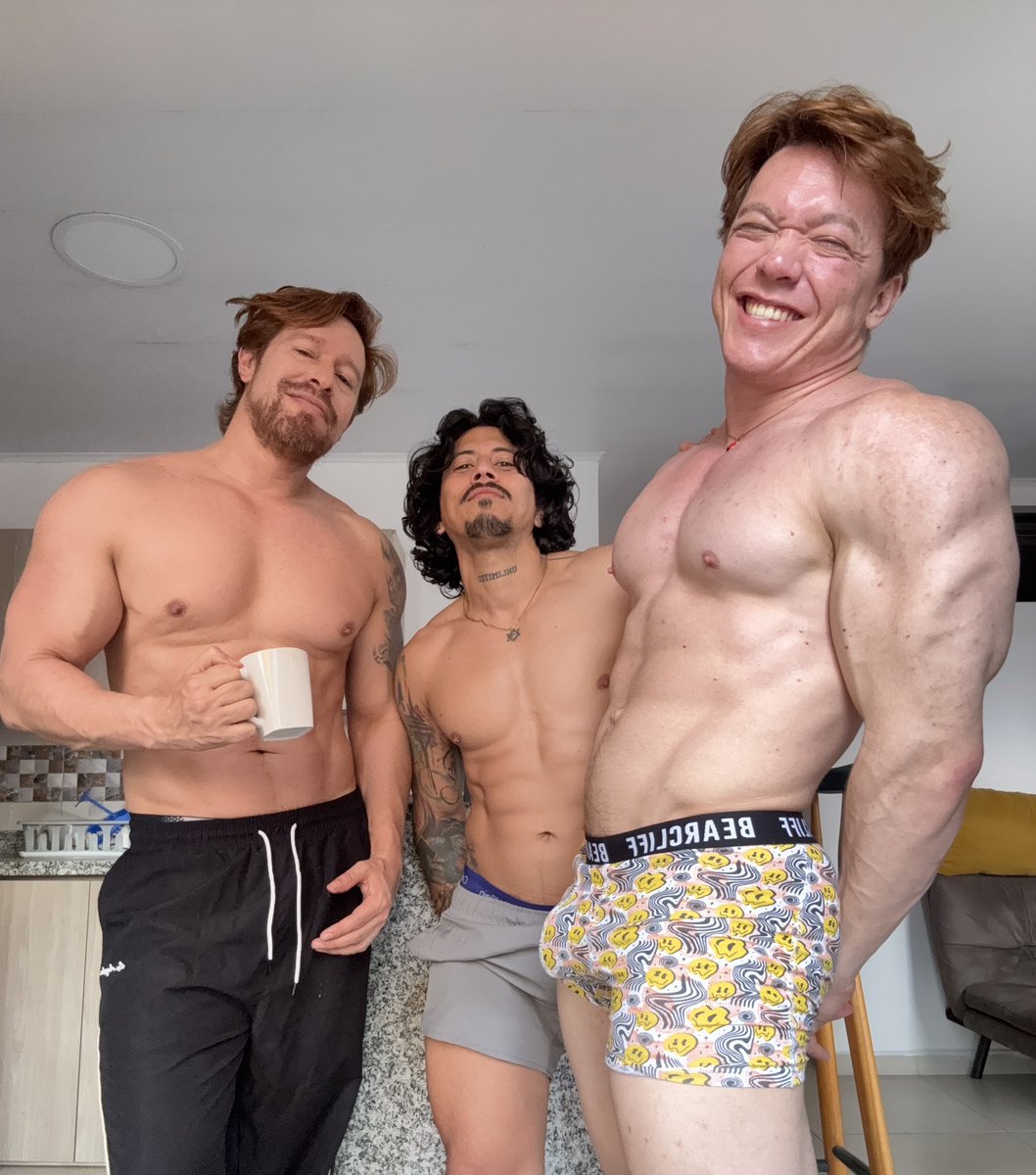 JoseMeirelesr tweet media