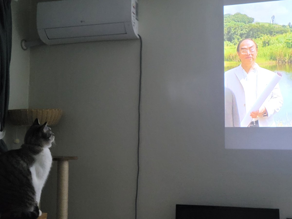 상하이에서 온 여인 tweet media