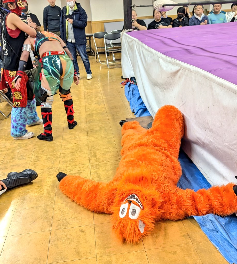 Conejo de nieve❄🐰 tweet media