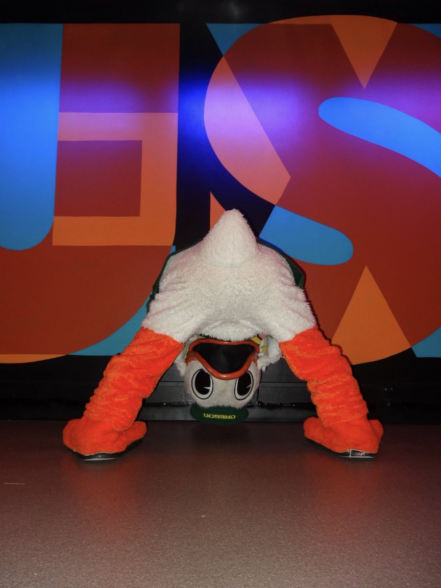 TheOregonDuck's tweet photo. caught a vibe https://t.co/xp5rdQSL6Y