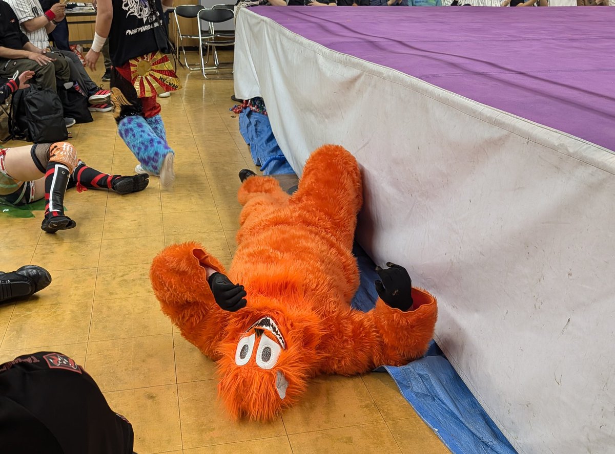 Conejo de nieve❄🐰 tweet media