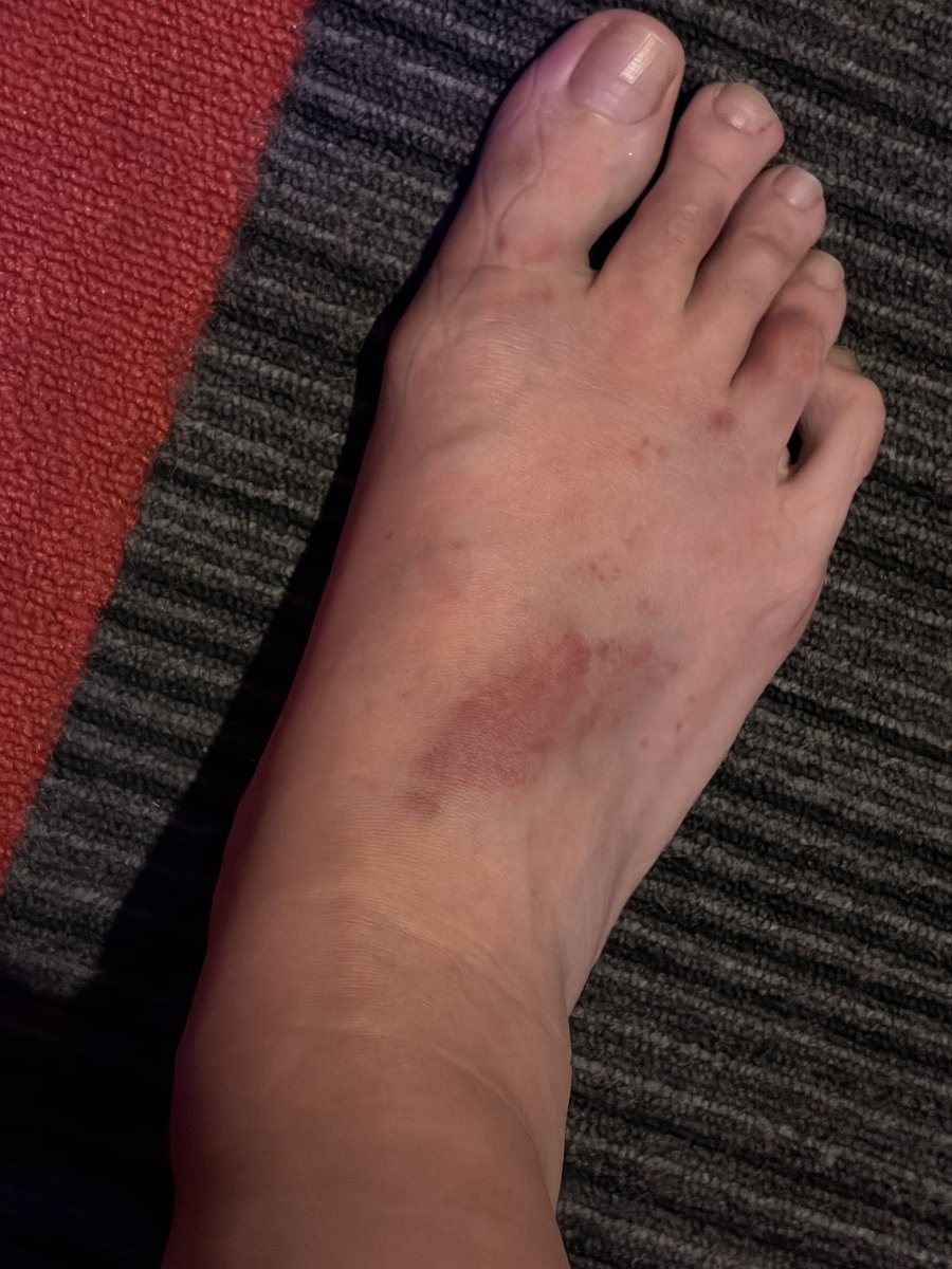 遊蘭 ❤️‍🔥 La Belle Reine tweet media