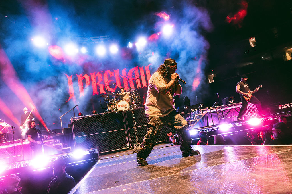 Shutter 16 Magazine tweet media